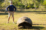 Giant Tortoise