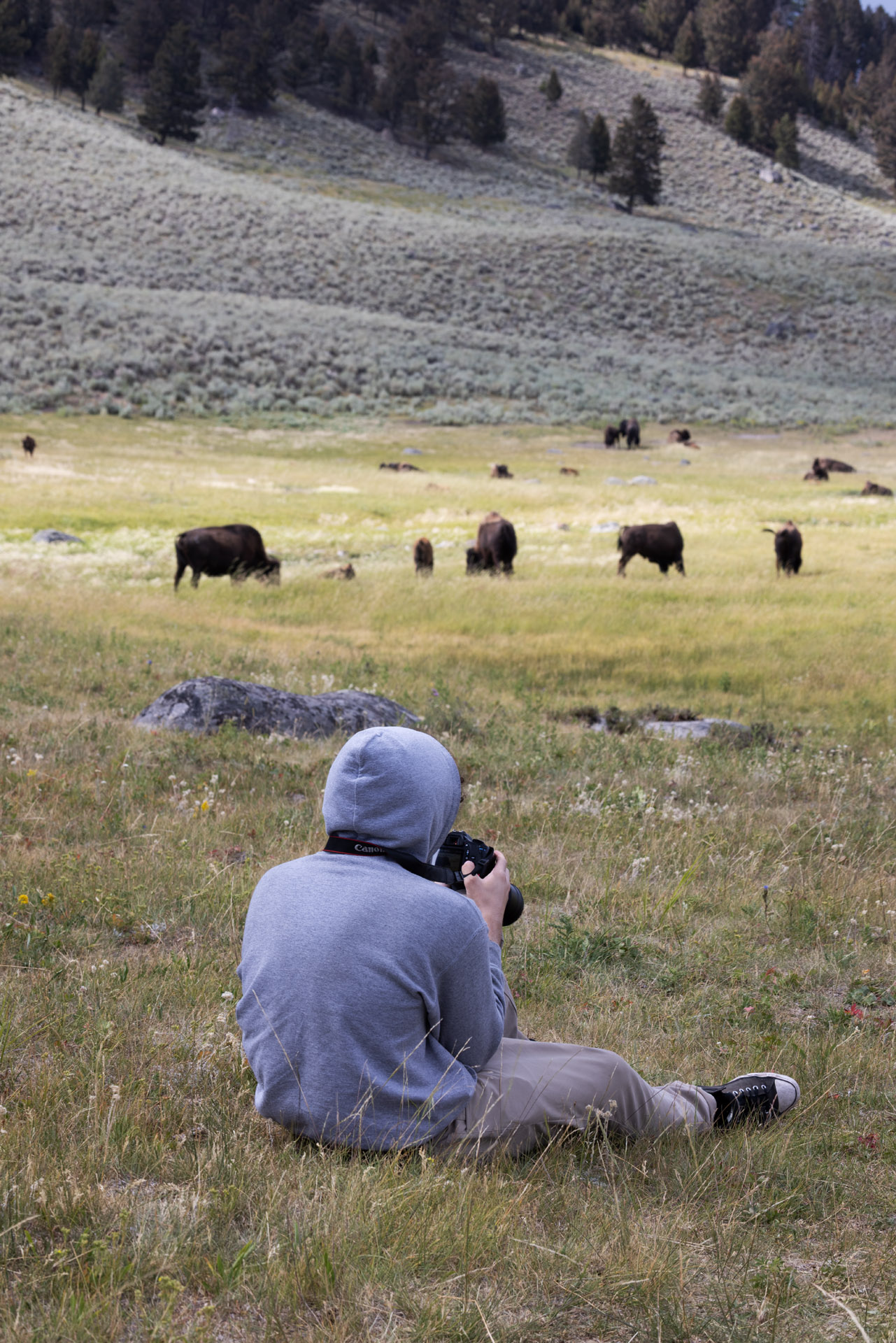 Colin Taking pictures (Jul 25, 2025)