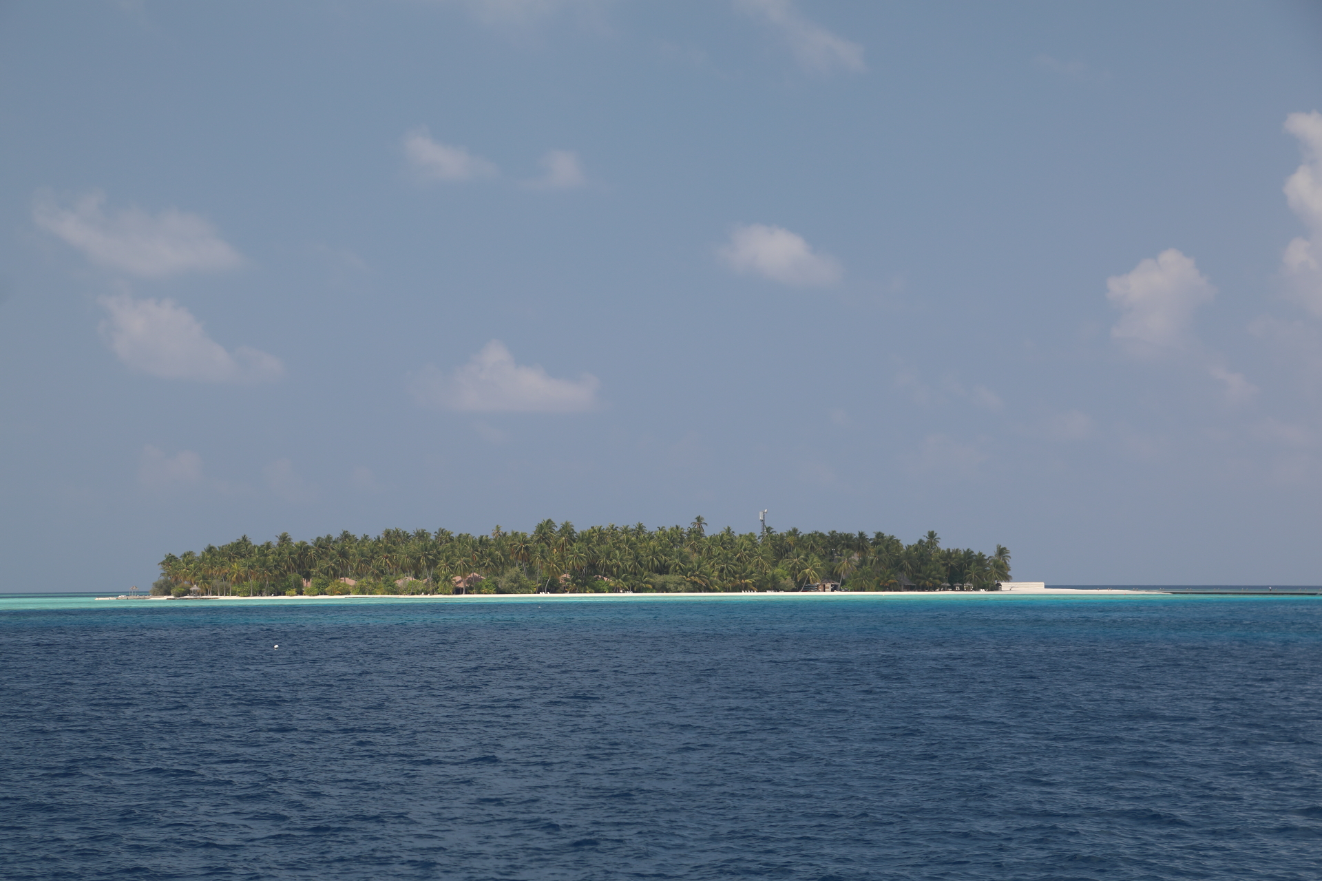 2Y1A4294 (Apr 10, 2021)