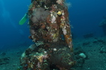 Buddha Statue