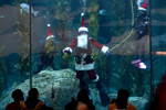 Santa Diver