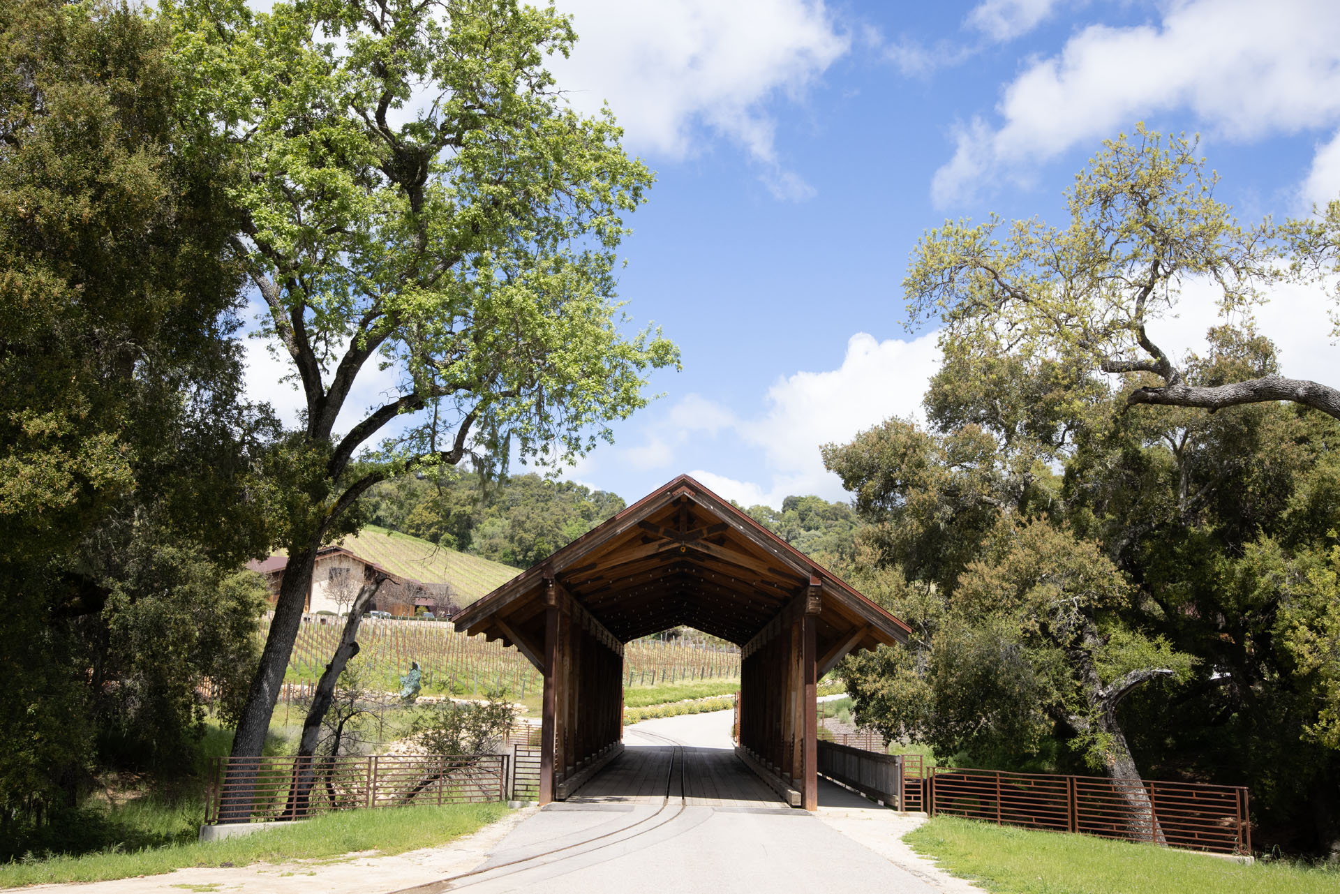 Halter Ranch Entrance (Apr 15, 2024)