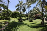 Resort Grounds