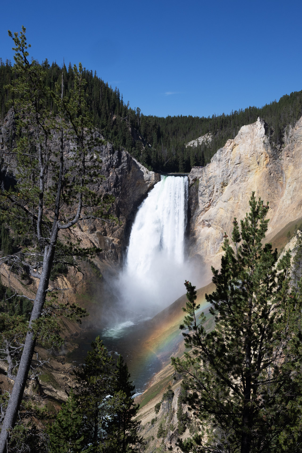 Upper Yellowstone Falls (Jul 28, 2025)