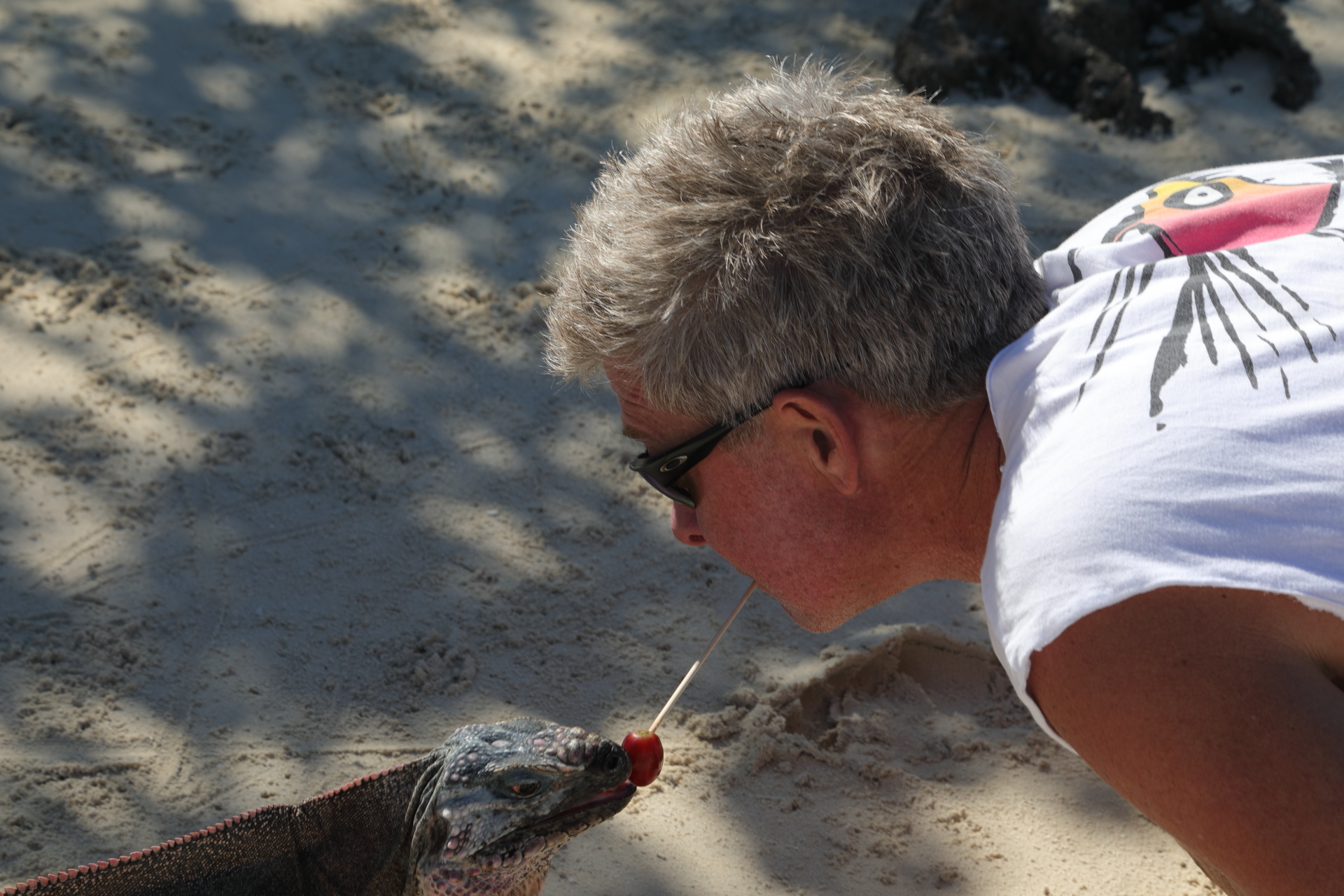 Iguana Kiss (Jan 29, 2023)