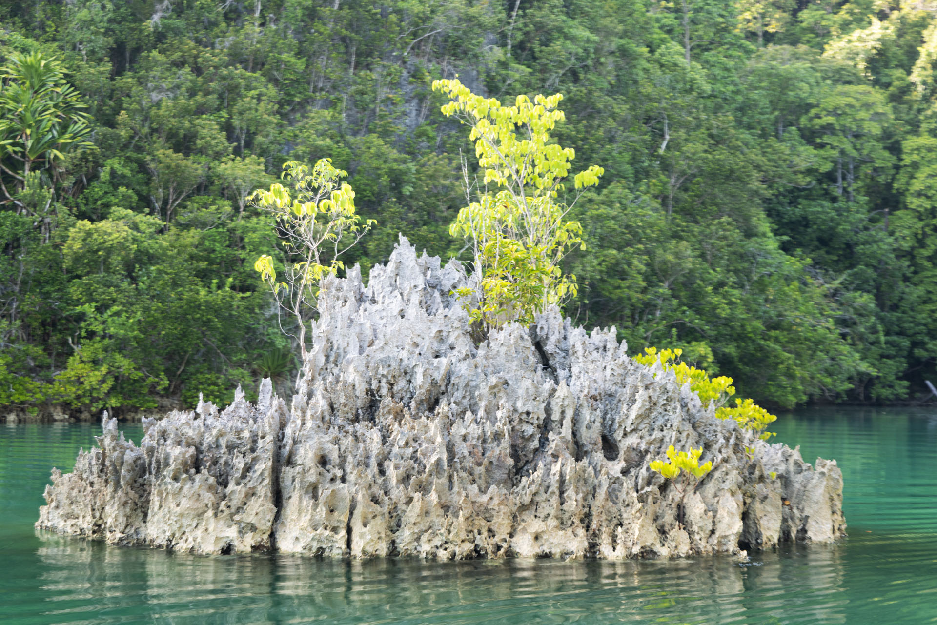 From the lagoon tour at Piaynemo (Jan 27, 2026)