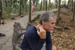 Feeding the Monkey