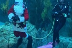 Santa Diver