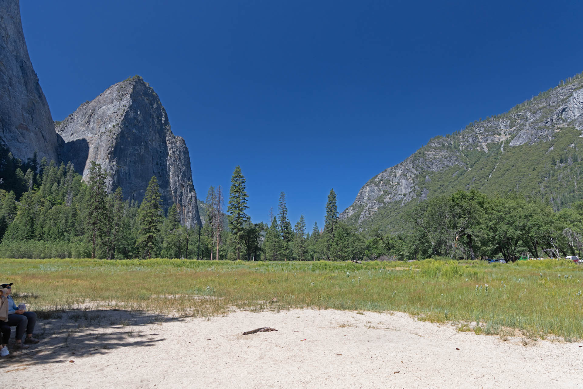 El Capitan Meadow (Jul 20, 2025)